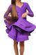 Сукня бейсік Maria Purple 00263-160 фото 4