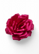 Заколка для волосся Big flower red decor n-0045 фото